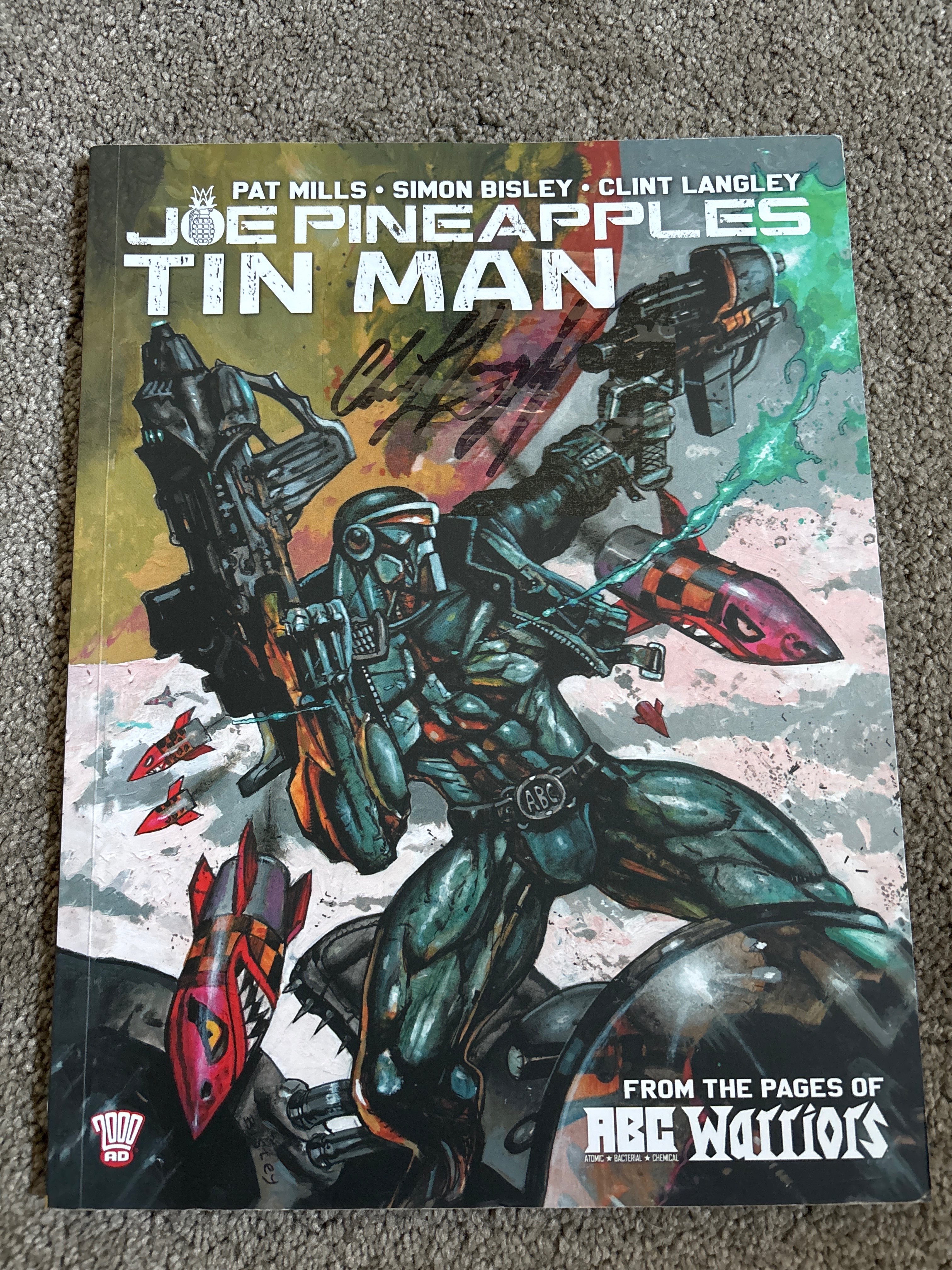 Joe Pineapples - Tin Man cover