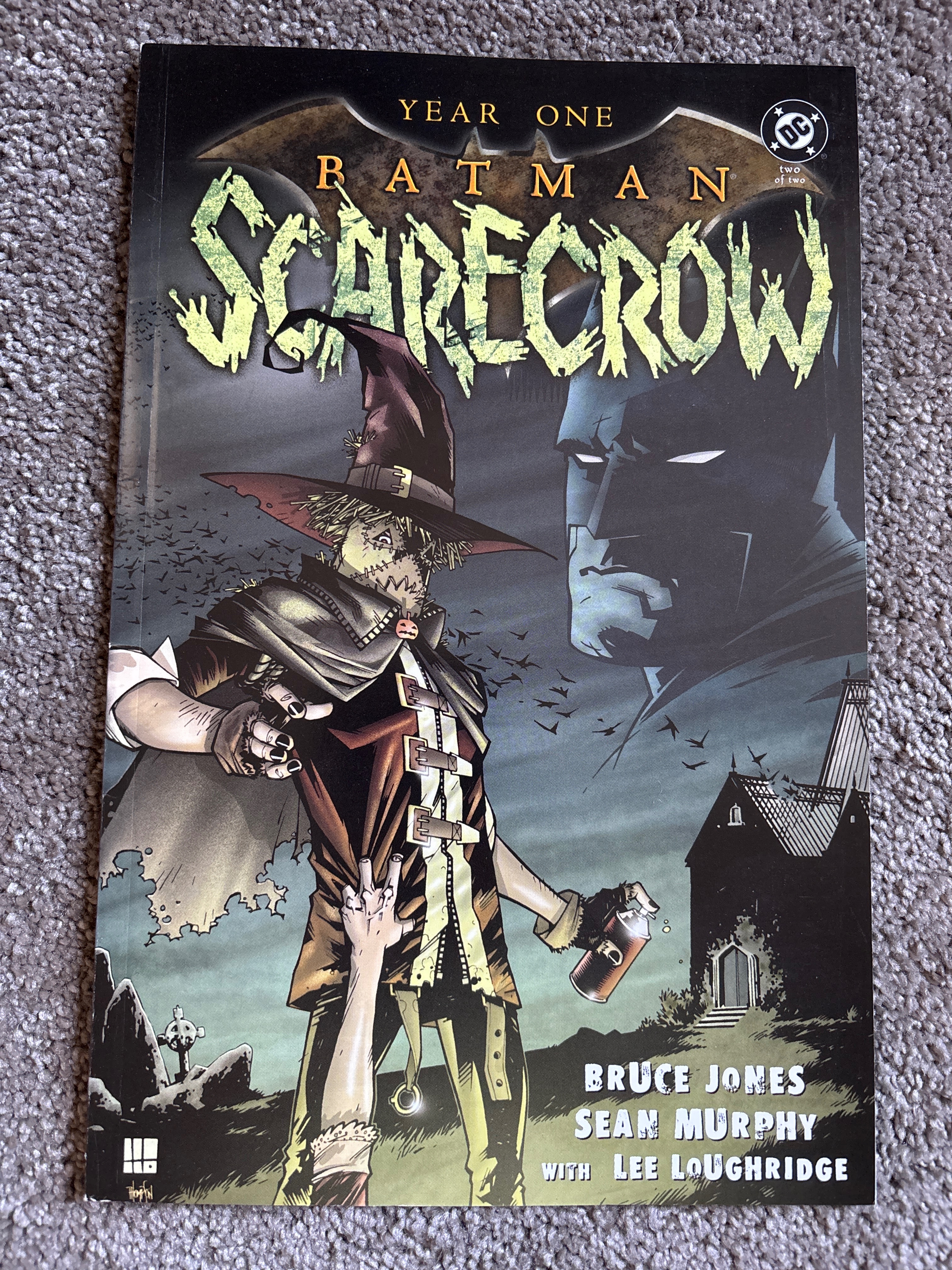 Year One: Scarecrow cover