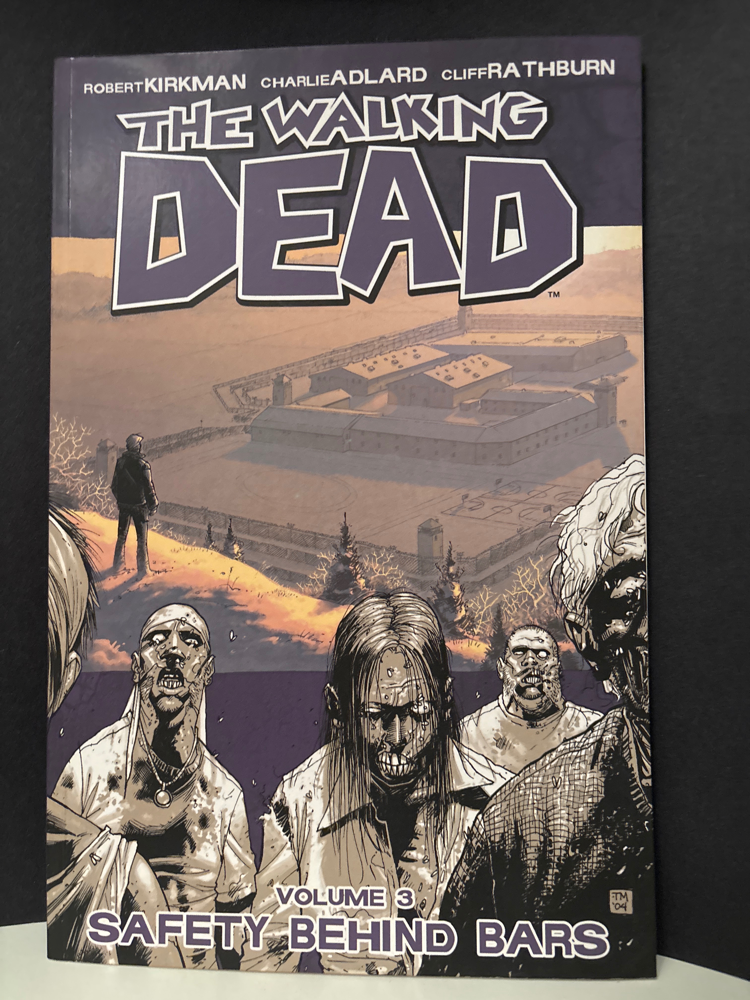Walking Dead vol 3 cover