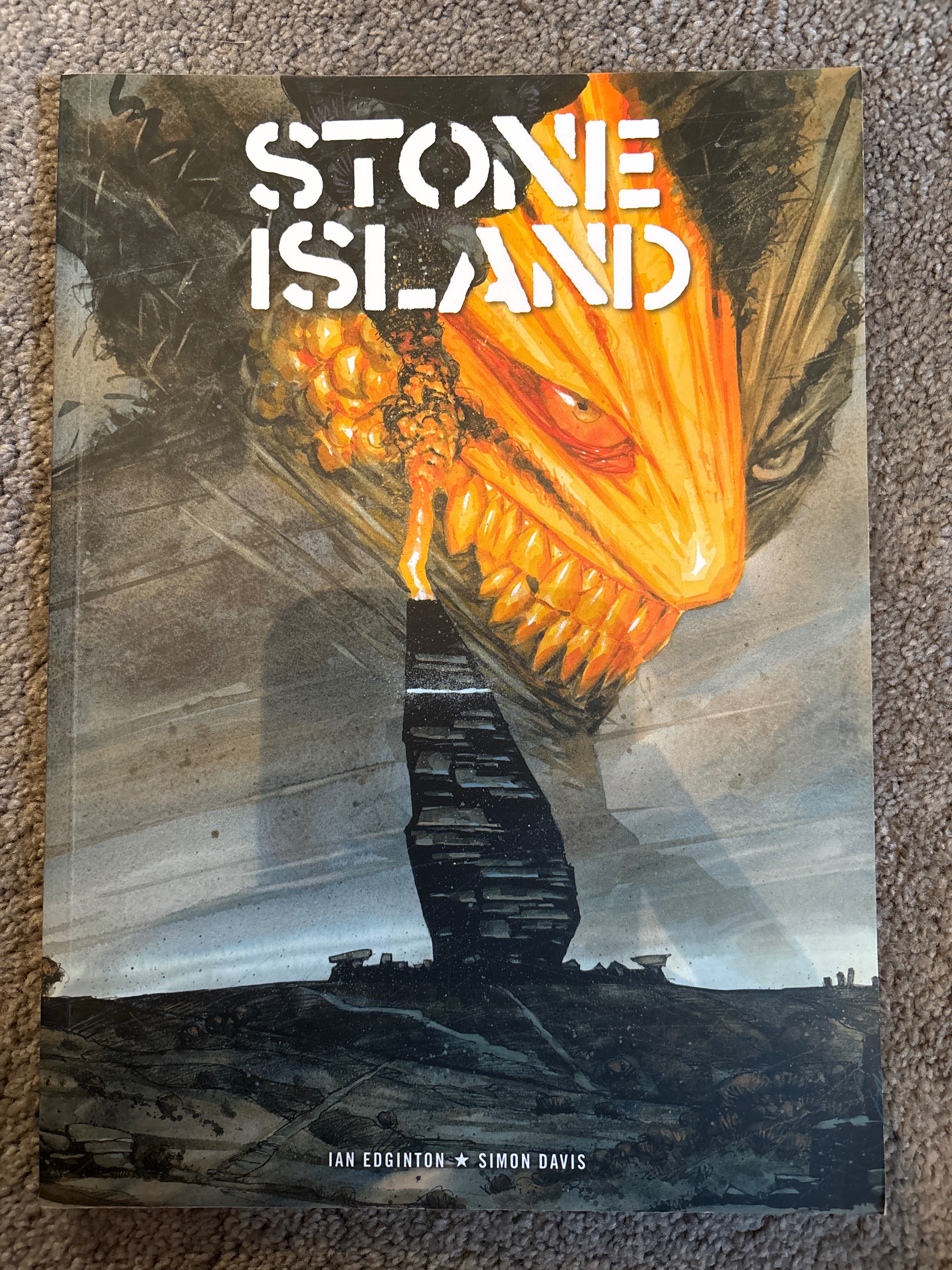 Stone Island cover