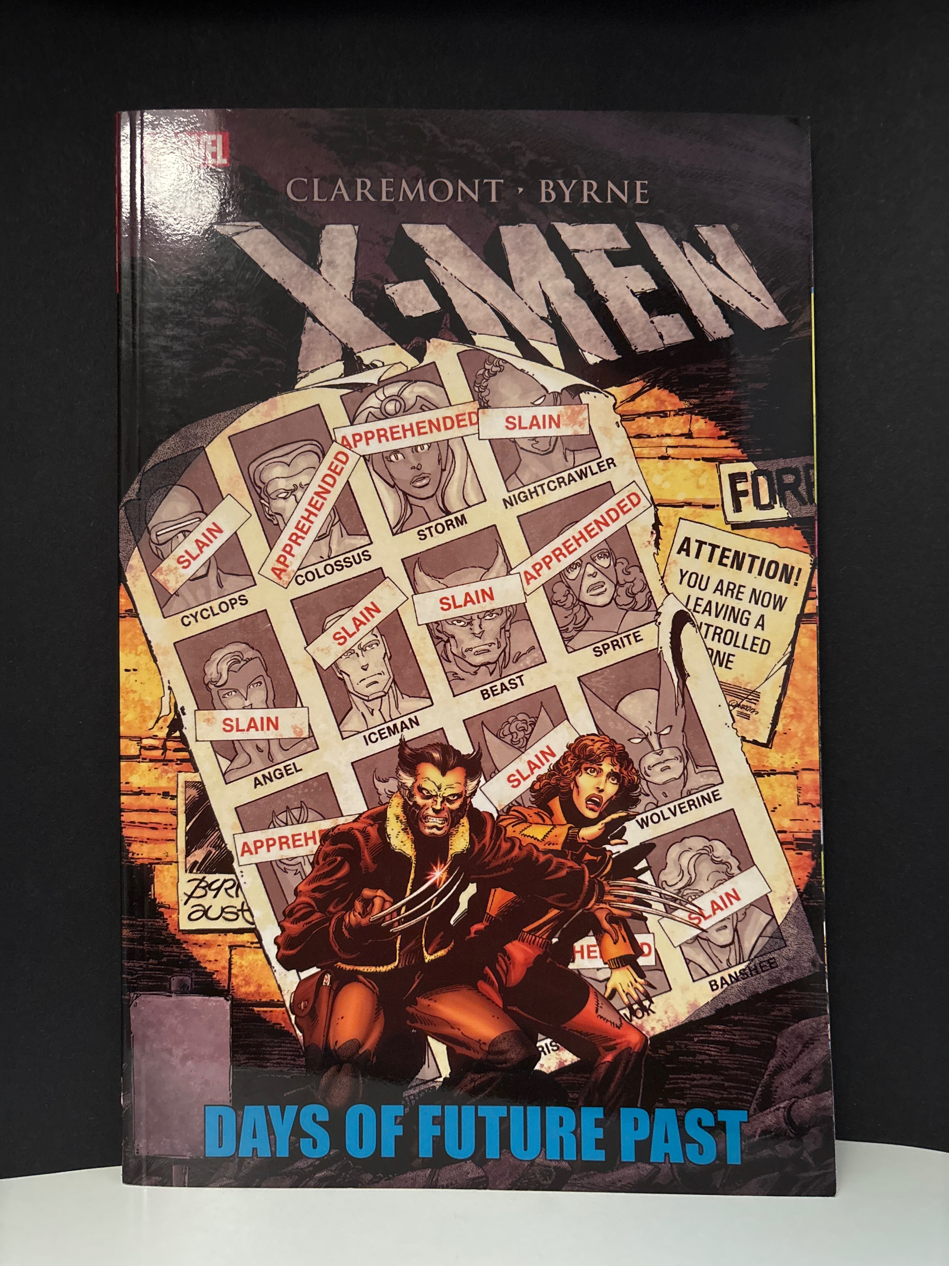 Days of Future Past cover