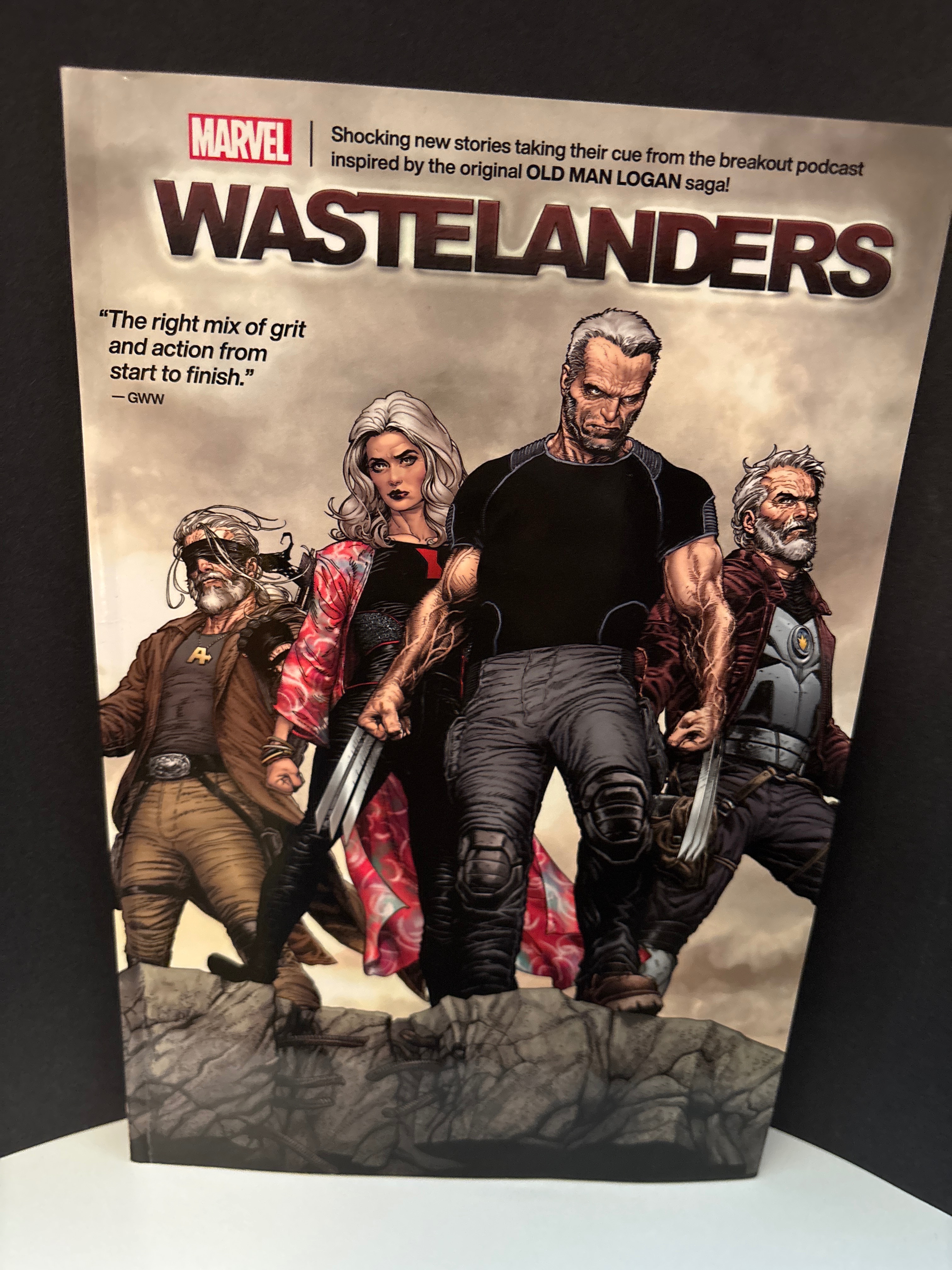 Wastelanders cover